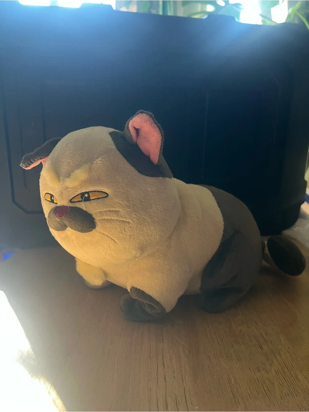 Disney Pixar Luca Machiavelli Cat Plush Kitty Stuffed Animal Siamese 12 inch